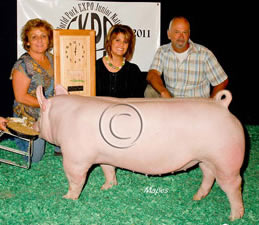 Barrow Winners
